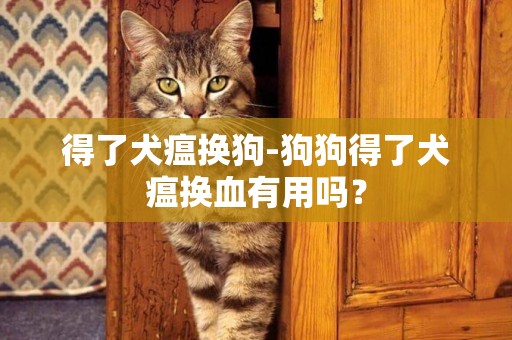 得了犬瘟換狗-狗狗得了犬瘟換血有用嗎？