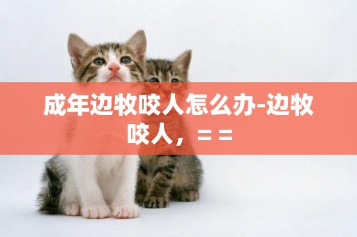 成年邊牧咬人怎么辦-邊牧咬人，= =
