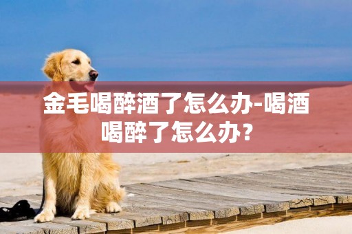金毛喝醉酒了怎么辦-喝酒喝醉了怎么辦？