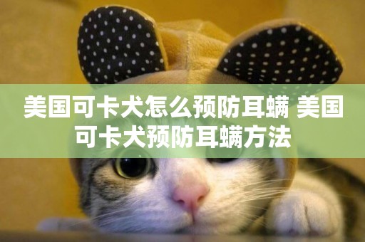 美國可卡犬怎么預防耳螨 美國可卡犬預防耳螨方法