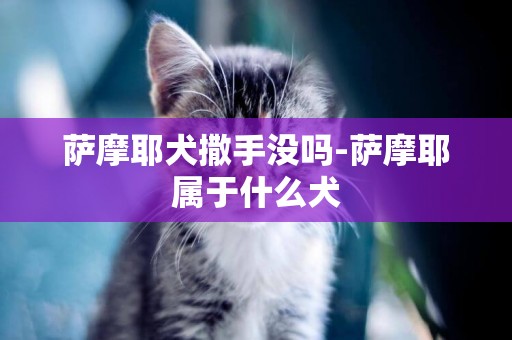 薩摩耶犬撒手沒嗎-薩摩耶屬于什么犬