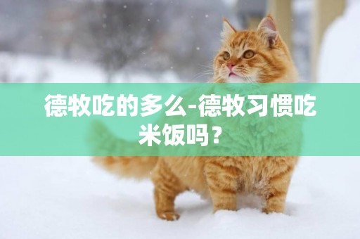 德牧吃的多么-德牧習慣吃米飯嗎？