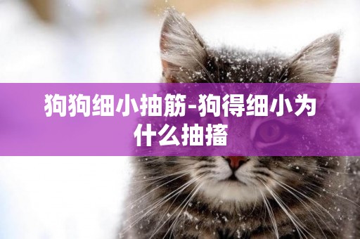 狗狗細小抽筋-狗得細小為什么抽搐