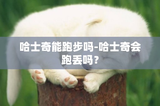 哈士奇能跑步嗎-哈士奇會跑丟嗎？