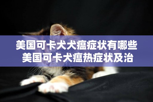 美國可卡犬犬瘟癥狀有哪些 美國可卡犬瘟熱癥狀及治療方法