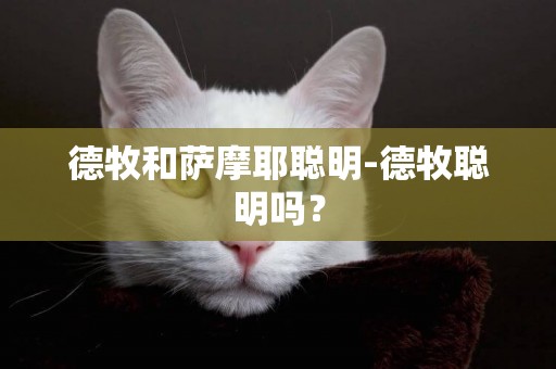 德牧和薩摩耶聰明-德牧聰明嗎？