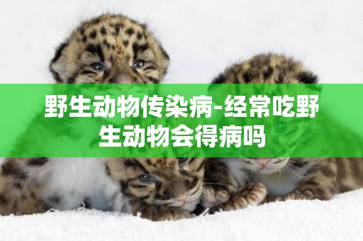 野生動物傳染病-經常吃野生動物會得病嗎