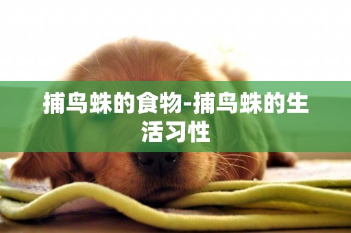 捕鳥蛛的食物-捕鳥蛛的生活習性