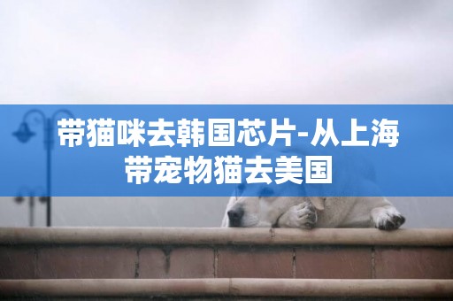 帶貓咪去韓國芯片-從上海帶寵物貓去美國