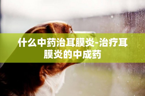 什么中藥治耳膜炎-治療耳膜炎的中成藥