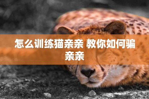 怎么訓練貓親親 教你如何騙親親
