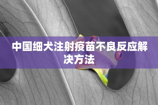 中國細犬注射疫苗不良反應解決方法
