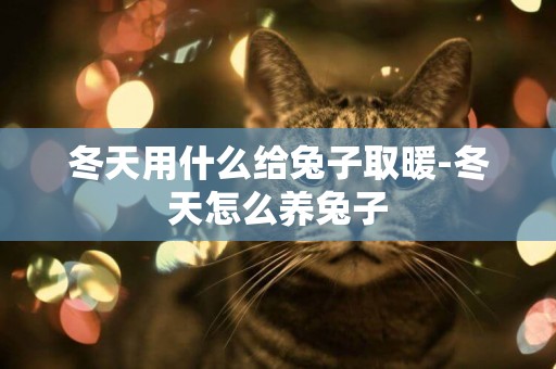 冬天用什么給兔子取暖-冬天怎么養兔子