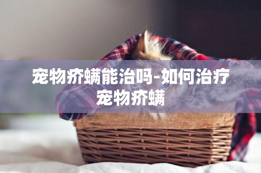 寵物疥螨能治嗎-如何治療寵物疥螨
