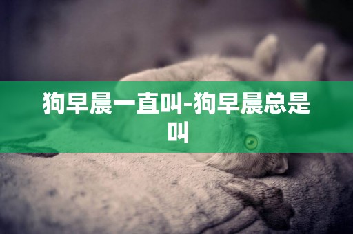 狗早晨一直叫-狗早晨總是叫