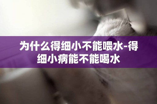 為什么得細小不能喂水-得細小病能不能喝水