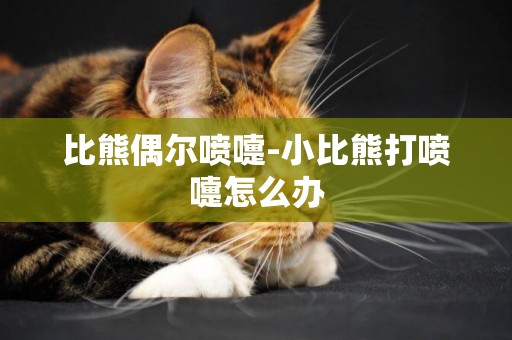 比熊偶爾噴嚏-小比熊打噴嚏怎么辦