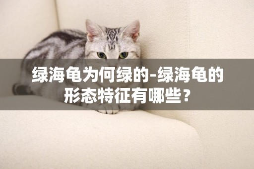 綠海龜為何綠的-綠海龜的形態特征有哪些？