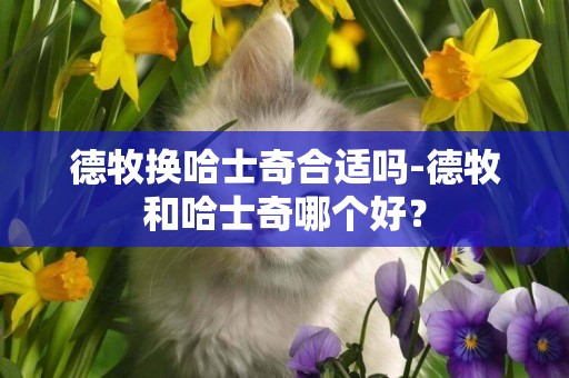 德牧換哈士奇合適嗎-德牧和哈士奇哪個好？