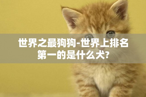 世界之最狗狗-世界上排名第一的是什么犬?