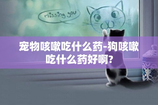 寵物咳嗽吃什么藥-狗咳嗽吃什么藥好啊?