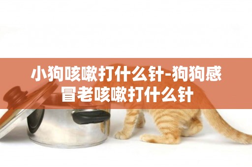 小狗咳嗽打什么針-狗狗感冒老咳嗽打什么針