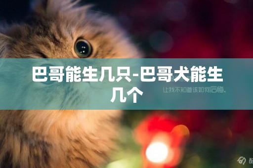 巴哥能生幾只-巴哥犬能生幾個