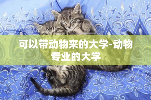 可以帶動物來的大學-動物專業的大學