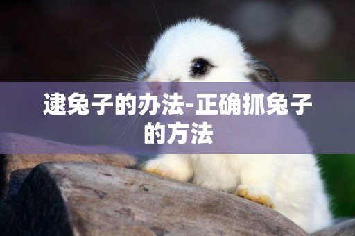 逮兔子的辦法-正確抓兔子的方法