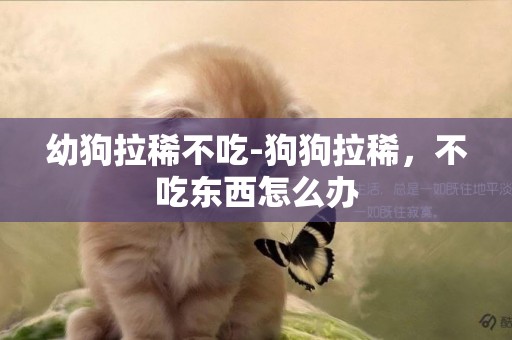 幼狗拉稀不吃-狗狗拉稀，不吃東西怎么辦