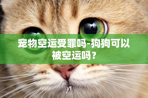 寵物空運受罪嗎-狗狗可以被空運嗎？
