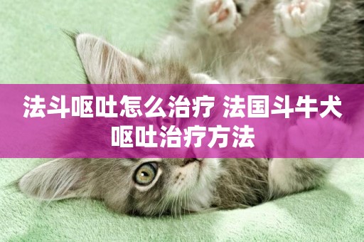 法斗嘔吐怎么治療 法國斗牛犬嘔吐治療方法