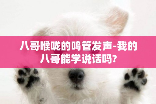 八哥喉嚨的鳴管發聲-我的八哥能學說話嗎?