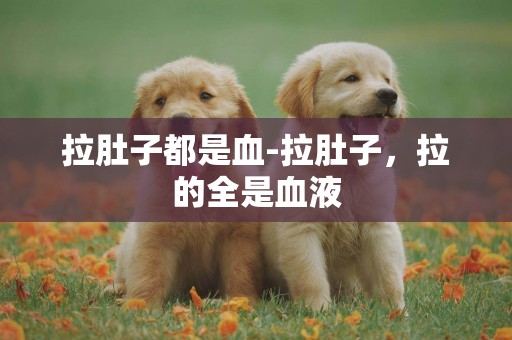 拉肚子都是血-拉肚子，拉的全是血液