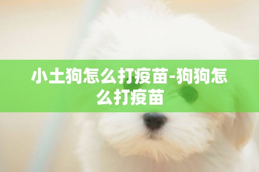 小土狗怎么打疫苗-狗狗怎么打疫苗