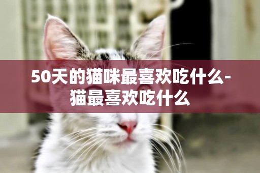 50天的貓咪最喜歡吃什么-貓最喜歡吃什么