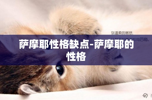 薩摩耶性格缺點-薩摩耶的性格