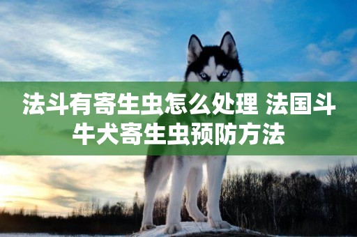 法斗有寄生蟲怎么處理 法國斗牛犬寄生蟲預防方法