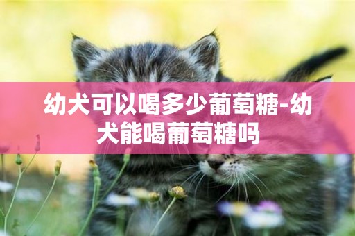 幼犬可以喝多少葡萄糖-幼犬能喝葡萄糖嗎