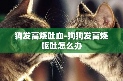 狗發高燒吐血-狗狗發高燒嘔吐怎么辦