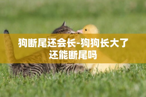 狗斷尾還會長-狗狗長大了還能斷尾嗎