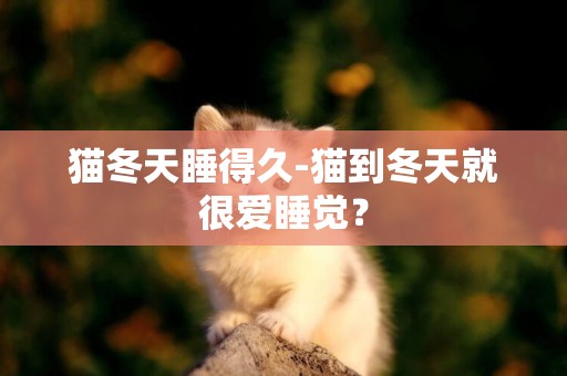 貓冬天睡得久-貓到冬天就很愛睡覺？
