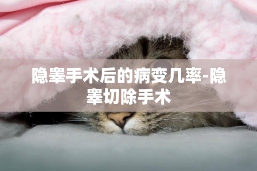 隱睪手術后的病變幾率-隱睪切除手術