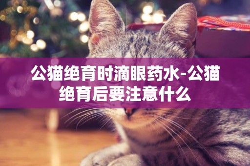 公貓絕育時滴眼藥水-公貓絕育后要注意什么