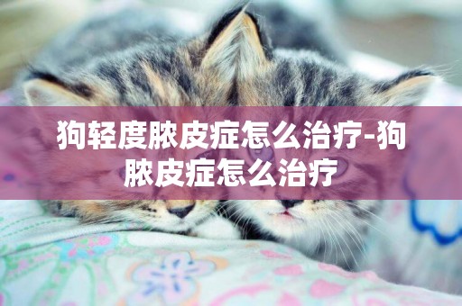 狗輕度膿皮癥怎么治療-狗膿皮癥怎么治療