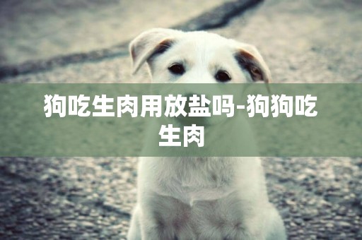 狗吃生肉用放鹽嗎-狗狗吃生肉