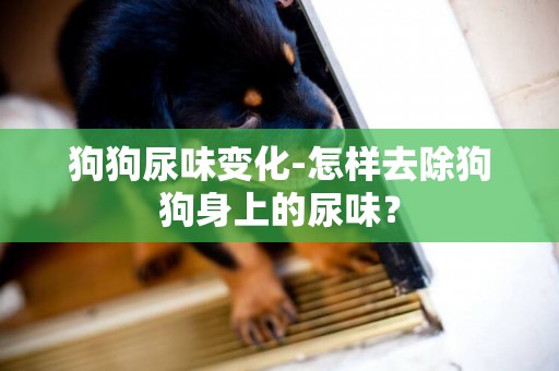 狗狗尿味變化-怎樣去除狗狗身上的尿味？