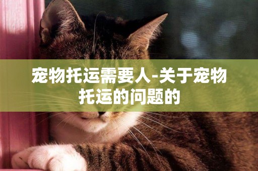 寵物托運需要人-關于寵物托運的問題的