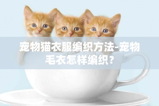 寵物貓衣服編織方法-寵物毛衣怎樣編織？