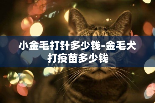 小金毛打針多少錢-金毛犬打疫苗多少錢